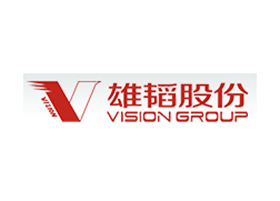 VISION GROUP